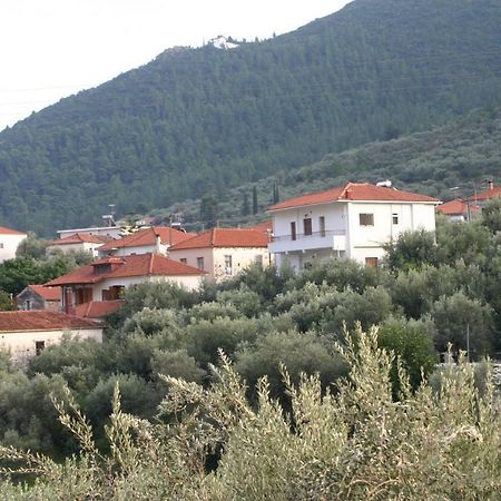 The Studio, לאונידיון מראה חיצוני תמונה