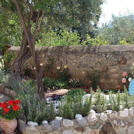 The Studio, לאונידיון מראה חיצוני תמונה