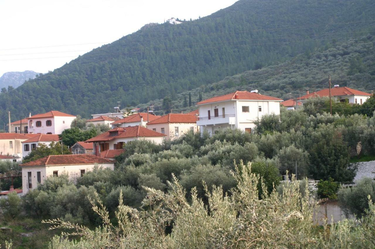 The Studio, לאונידיון מראה חיצוני תמונה