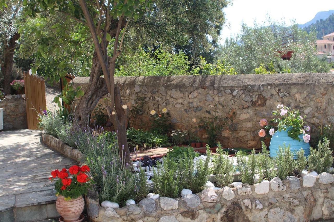 The Studio, לאונידיון מראה חיצוני תמונה